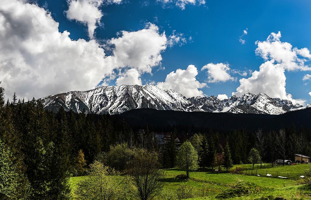 Bed and Breakfast Zwijaczowka Zakopane Esterno foto