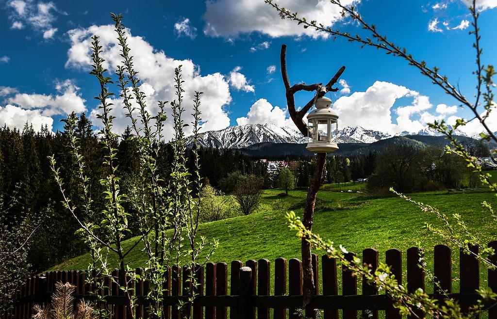 Bed and Breakfast Zwijaczowka Zakopane Esterno foto
